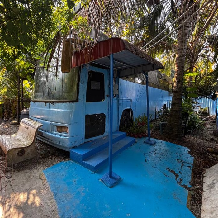 Pandangan luar Bas Sunflower yang berwarna biru di tengah suasana hutan di KSCC.